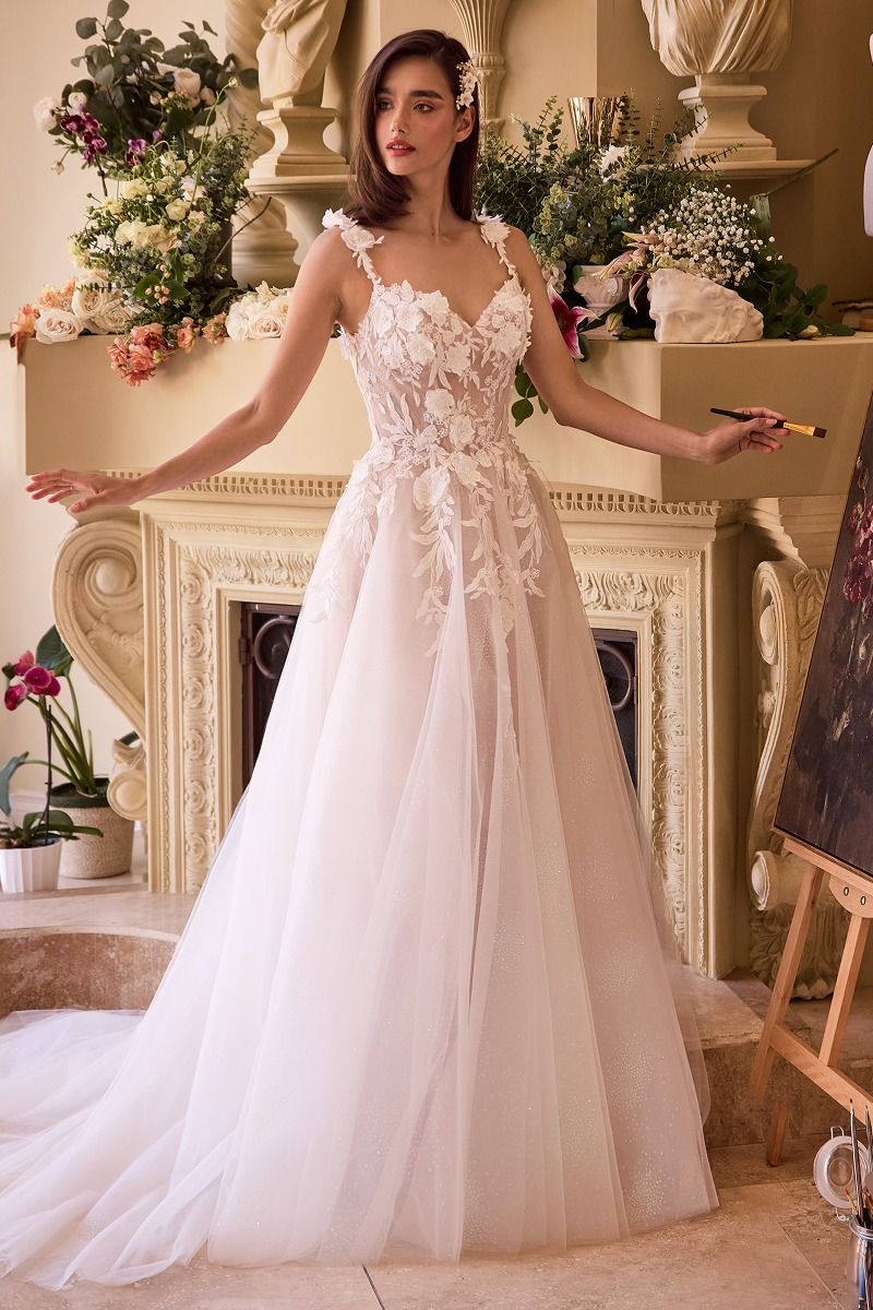 LACE APPLIQUED A-LINE TULLE WEDDING DRESS CINDERELLA BY CINDERELLA DIVINE CDS498W Bridal Hive LACE APPLIQUED A-LINE TULLE WEDDING DRESS CINDERELLA BY CINDERELLA DIVINE CDS498W Bridal Hive