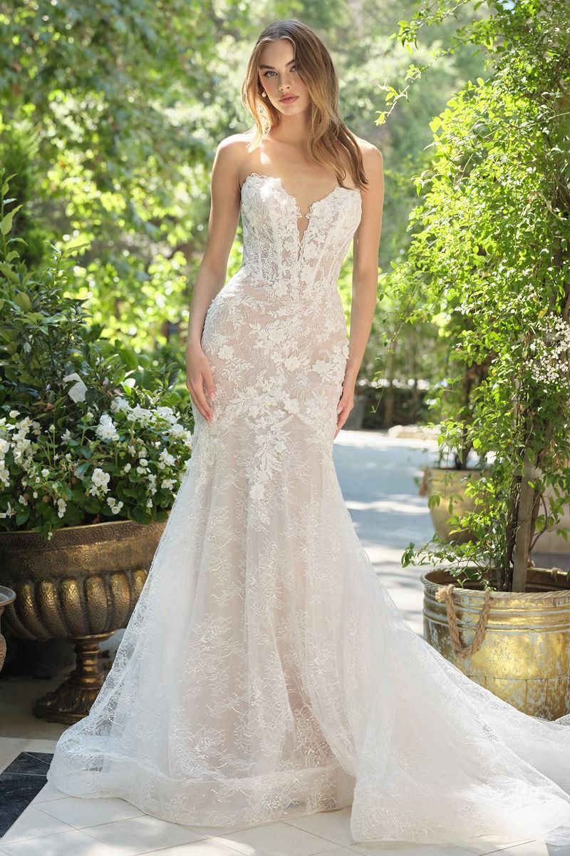 Bridal Gown WL072