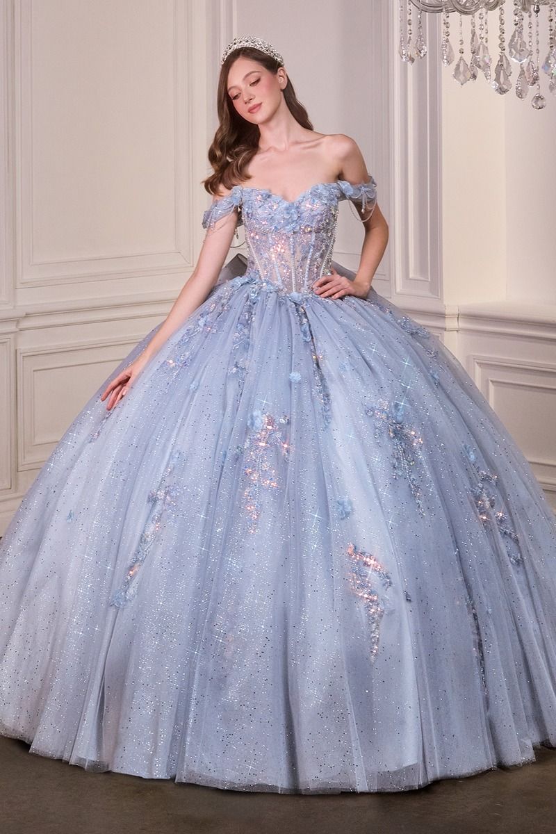 glitter quinceanera dresses Enchanting Floral Details Quinceañera Ball Gown for Women, Sizes 4/XS-16/3X 16/3X / Blue Mesh Length Size:Individual size Favurite bustynurse: Blowjob, Cowgirl RamadanEdit2024