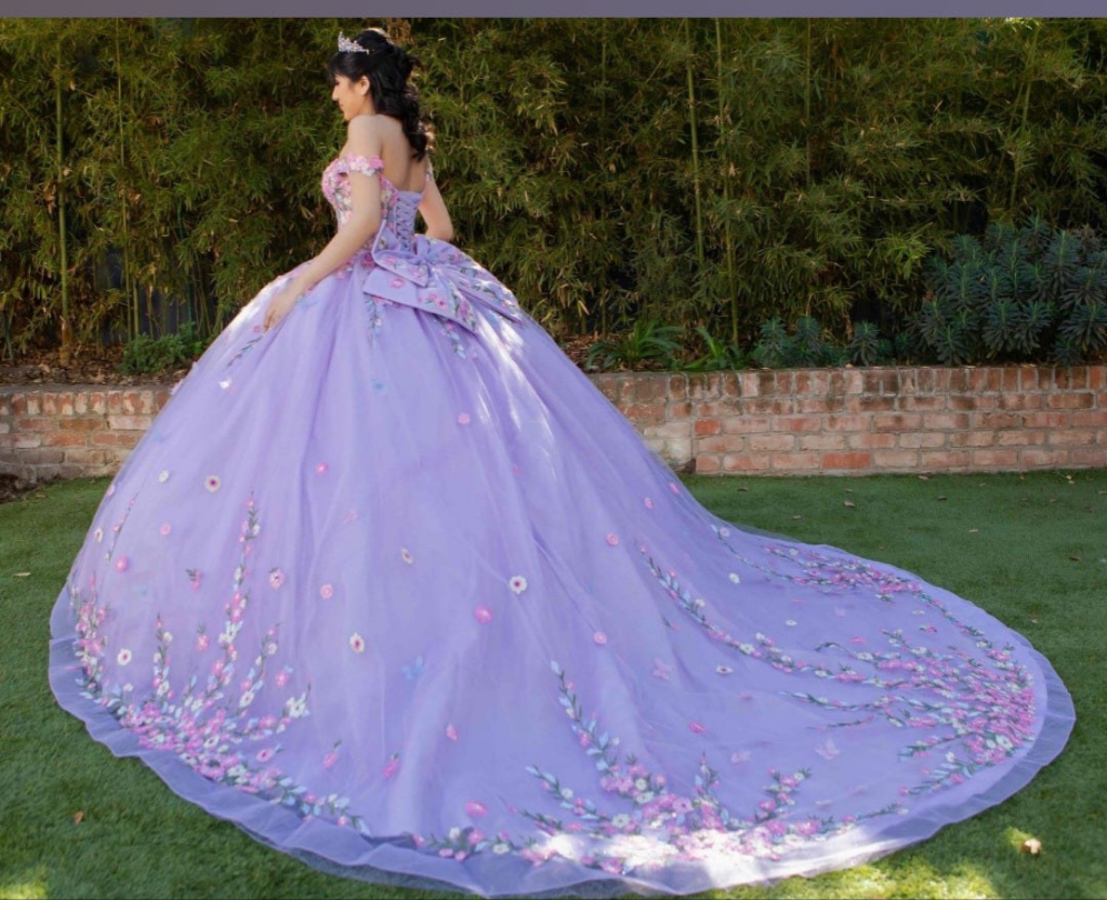 Cinderella Couture Colorful Daisy Embroidery Quinceañera Ball Gown 8260J