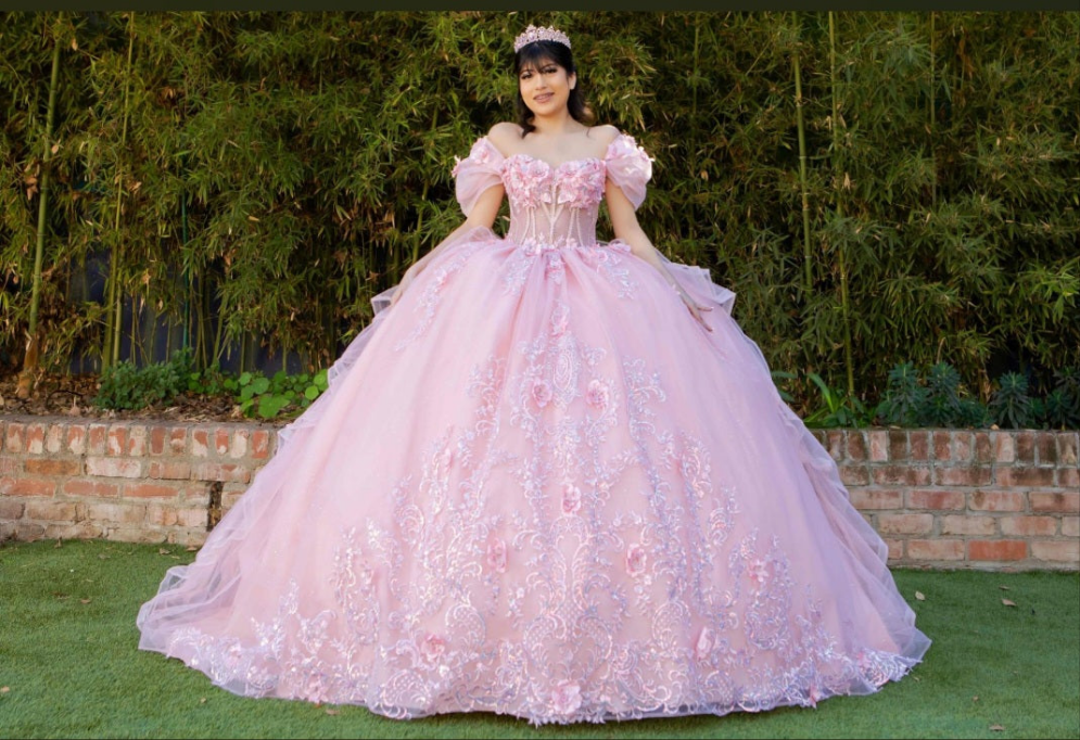 Cinderella Couture Sequins & Embroidered Quinceanera Ball Gown 8330J