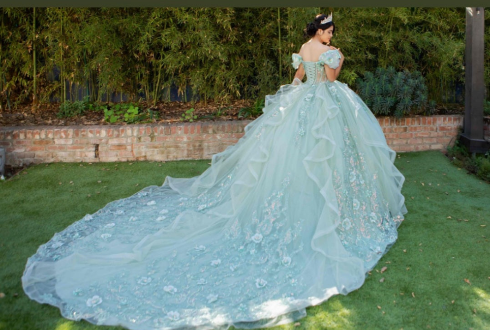 Cinderella Couture Sequins & Embroidered Quinceanera Ball Gown 8330J