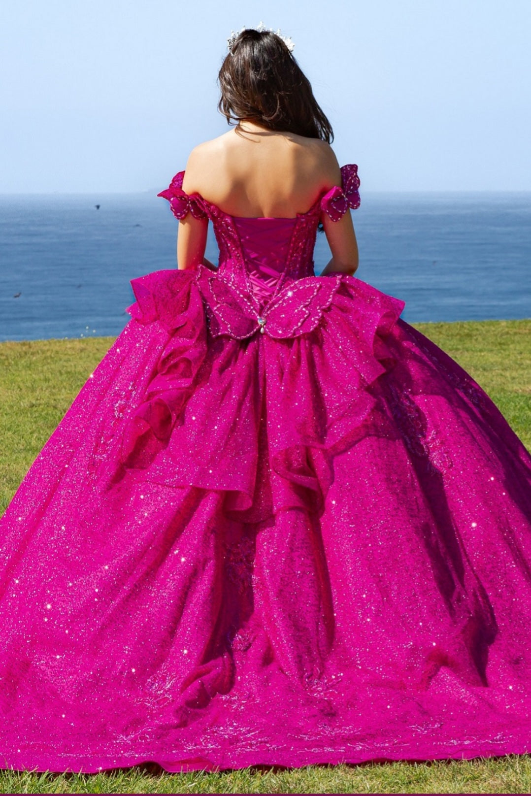 Cinderella Couture Butterfly Quinceañera Ball Gown 8120J