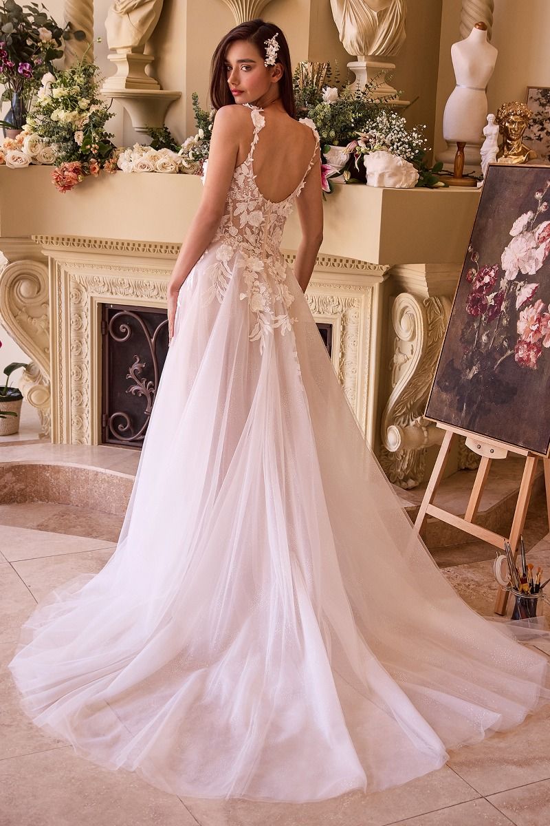 LACE APPLIQUED A-LINE TULLE WEDDING DRESS CINDERELLA BY CINDERELLA DIVINE CDS498W Bridal Hive LACE APPLIQUED A-LINE TULLE WEDDING DRESS CINDERELLA BY CINDERELLA DIVINE CDS498W Bridal Hive