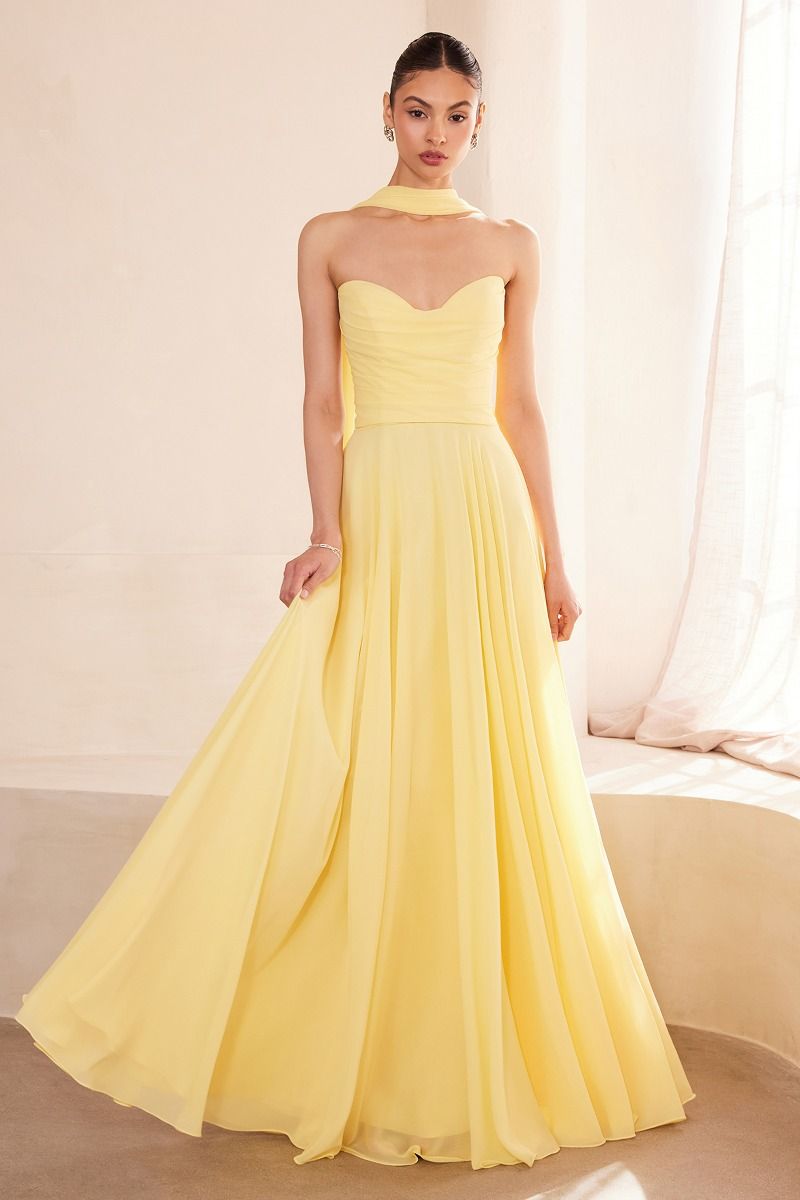 Ladivine T703 - Strapless A-Line Chiffon Dress