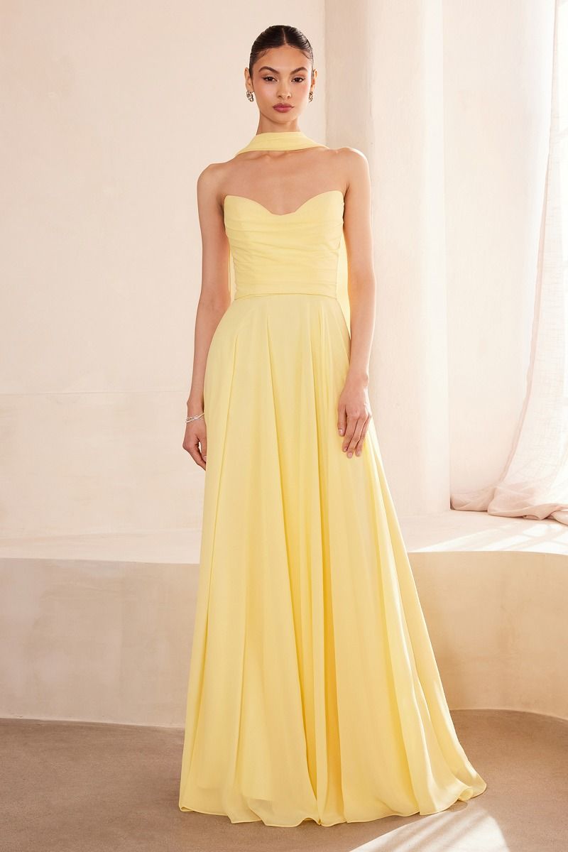 Ladivine T703 - Strapless A-Line Chiffon Dress