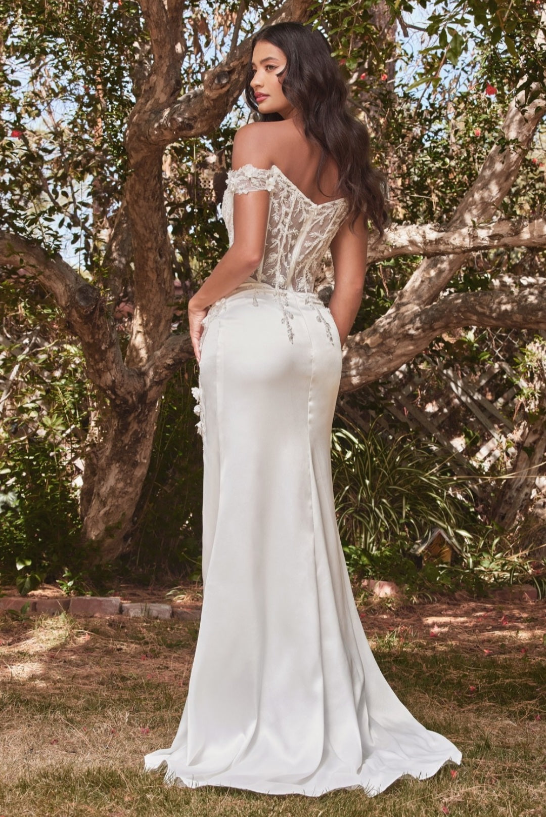 cinderella divine cd0186 - applique corset prom dress Long Corset Off Shoulder Prom Dress Gown by LaDivine CD0186
