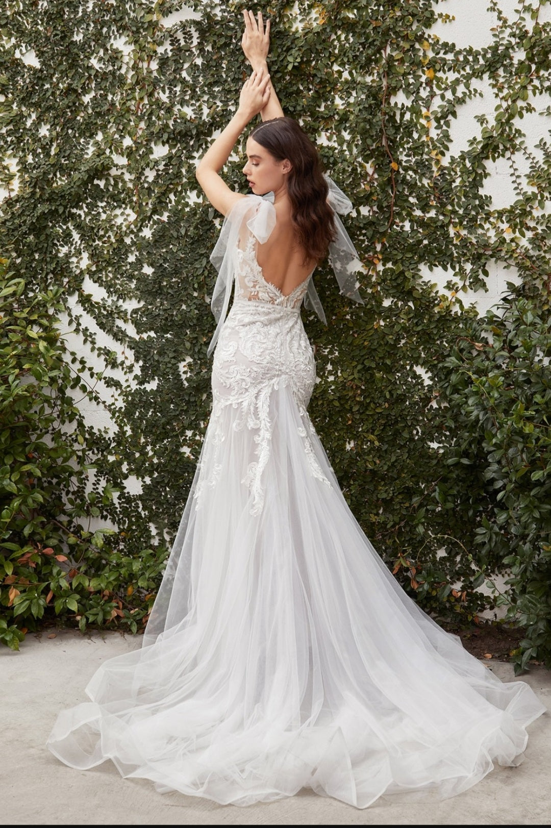 LACE CORSET MERMAID WEDDING GOWN BY CINDERELLA DIVINE A1086W Bridal Hive LACE CORSET MERMAID WEDDING GOWN BY CINDERELLA DIVINE A1086W Bridal Hive